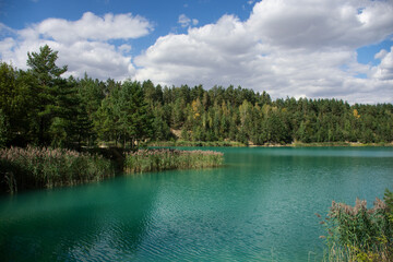 beautiful landscape lake and forest