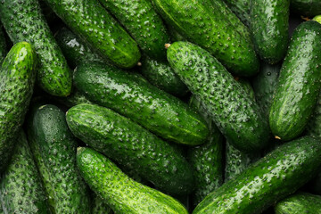 Fresh whole ripe cucumbers as background, top view