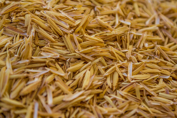 Select focus of Yellow Rice husks for background