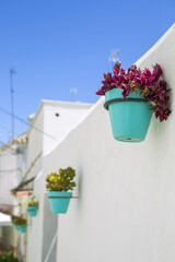 A beautiful Tradescantia plant in a turquoise flower pot hangs on the white wall of the house. A street decorated with flowers in pots in the town. Estepona, Spain. A vertical image.