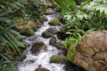 chute d'eau dans la nature