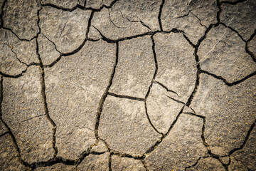 Top view of cracked soil