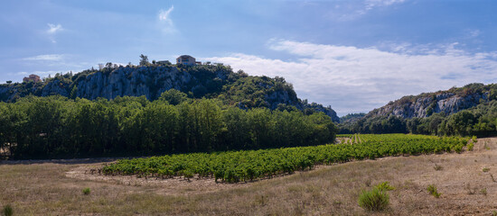 Widok na prowansalskie winnice, panorama. Zielone winorośla ukryte w zacisznej dolinie wśród wzgórz. - obrazy, fototapety, plakaty