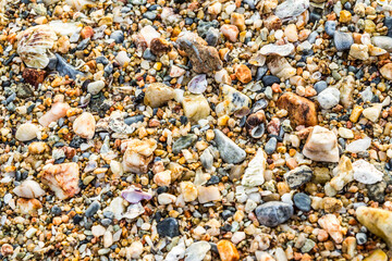 Stones and shells on the shore for background
