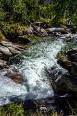 Fototapeta premium A river called a cold stream in the Tatras in a beautiful mountain nature