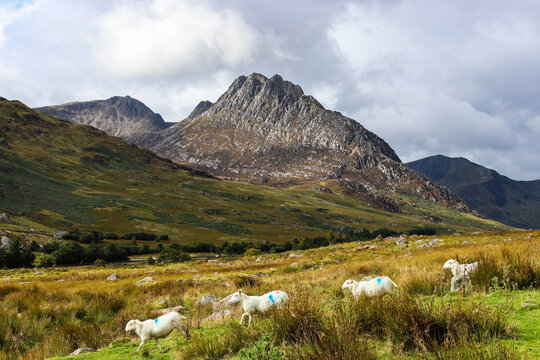 Tryfan Glyder Fach Glyderau Snowdonia 