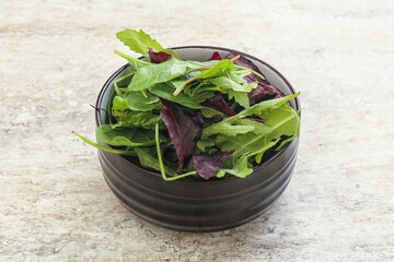 Vegetarian mix green vitamin salad