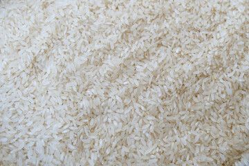 large rice,rice for making pilaf close-up,baldo rice,
