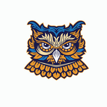 colorful owl bird with engraving ornament illustration