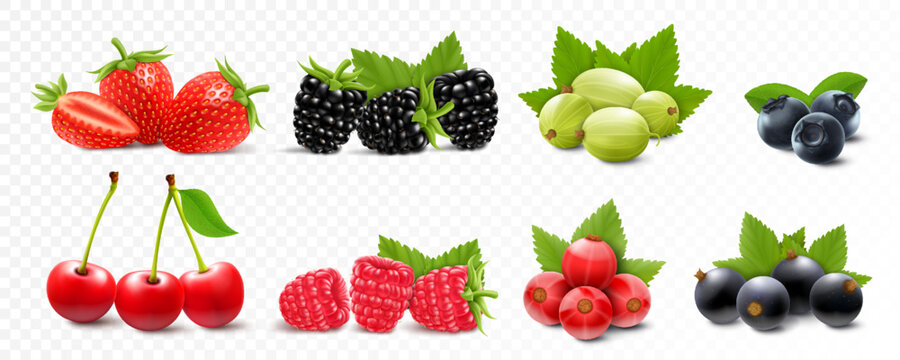 Berries mix - strawberry, raspberry, blackberry, gooseberry, cherry, currant and blueberry with green leaves, isolated on white background. Realistic 3d vector illustration.