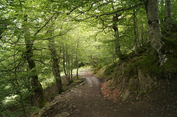 Pirineos