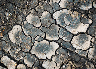 detail of cracks on dry clay loam