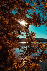 A sunstar peaks through the golden. yellow tree leaves over a blue lake in Arkansas during a bright...