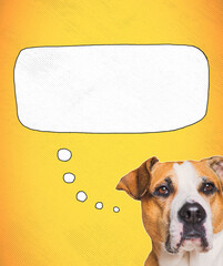 Funny dog thinking, speech bubble, digital collage image. Cute staffordshire terrier with a thought...