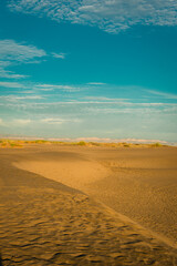 Fototapeta na wymiar Dunes in a beautiful sunrise