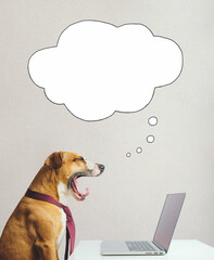 Yawning dog daydreaming, yawning in a tie in front of a computer and dreaming or thinking, speech bubble. Digital collage: taking pets to work in the office, dream of rest or vacation