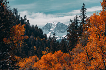 Scenic vista viewpoint of the colorado Rocky mountains during autumn with winter call capped mountains near the town of Marble 