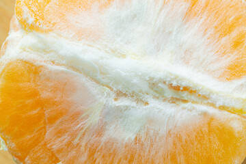 macro orange texture,Slice of citrus fruit with backlit, abstract macro photography sicilian blood...