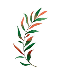 Watercolor tropical leaf. Hand drawn illustration, isolated on white background