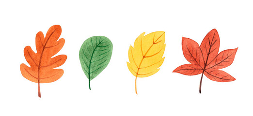 Obraz premium Watercolor leaves set. Hand drawn autumn illustration, isolated on white background