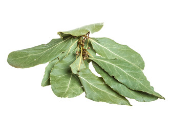 Aromatic Bay leaves (laurel) isolated over white background