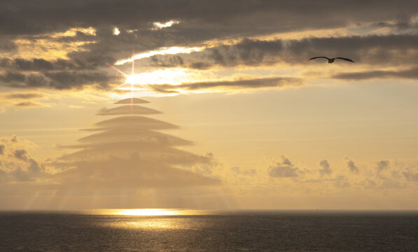 Clouds form a Christmas tree over the sea
