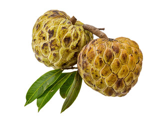 Annona