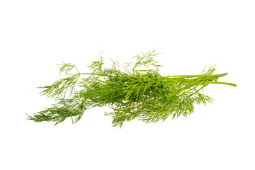 Dill branch