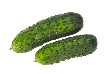 Ripe fresh green two cucumbers