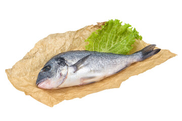 Raw Dorada fish  for cooking
