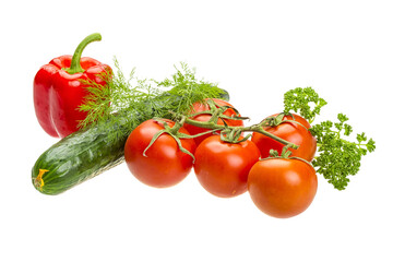 Red ripe tomatoes on the branch