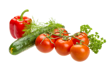 Red ripe tomatoes on the branch