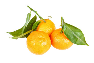 mandarin with green leaves isolated
