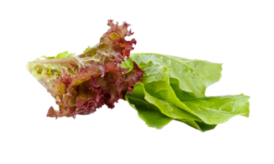 Salad leaves
