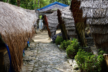 traditional gazebo roof made of coconut tree leaves