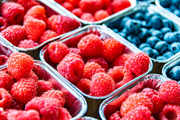 Fresh raspberries in plastic boxes put up for sale in the store