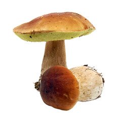 Porcini mushroom (Boletus edulis) aka bolete or penny bun isolat