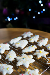 Close up view of plate with tasty Christmas cookies