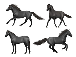 Galloping horses. Realistic running animals saddle horse beauty brown power animal decent vector illustrations