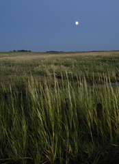 Coastal Grasslands at Night, Denmark - 533201802
