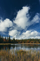 Image from a trip to the Tjuvaaskampen Hill and Western Tjuvaasen Lake, part of the Totenaasen Hills, Norway, in fall. A day with rich autumn colors.