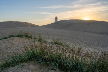 Dunes at Rubjerg Knude Fyr Lighthouse, Denmark - 533202259
