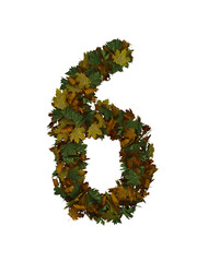 Text Made Out Of Autumn Leafe Typeface 6