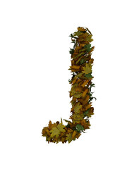 Text Made Out Of Autumn Leafe Typeface J
