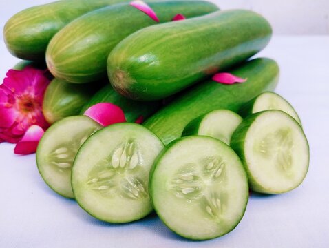 Cucumber kheera khira concombre gurke cucumis sativus cetriolo pepino-cucumber for salad slicing green hybrid cucumber food cucumis edible health beneficial sativus culinary vegetables image photo 