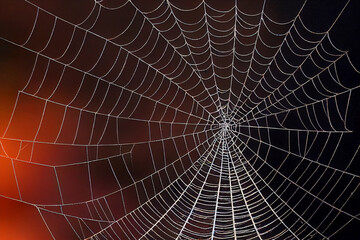 Obraz premium Halloween spider web, digital art