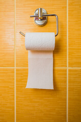 Toilet paper on glazed tile