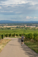 Fototapeta premium Goxwiller, France - 09 03 2022: A man is running in the middle of vine fields along the wine route at sunset