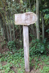 Wegweiser.  Holzschild.