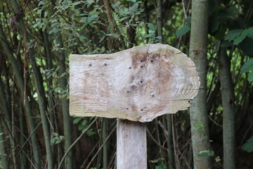 Wegweiser.  Holzschild.